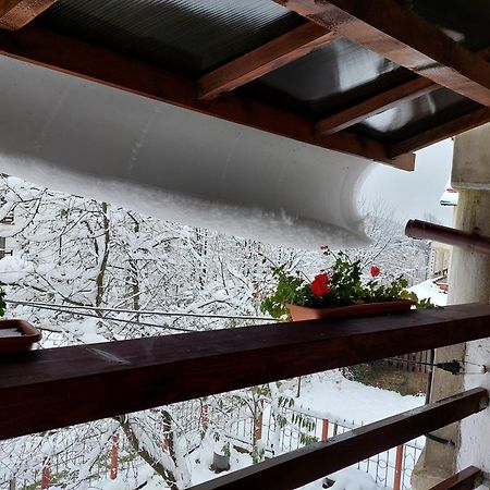 Holiday House Văliug 외부 사진