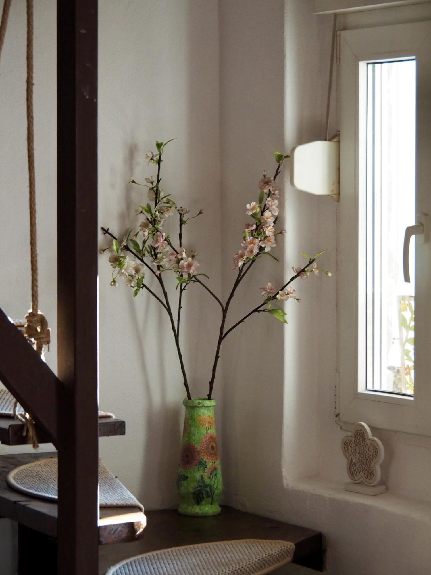 Holiday House Văliug 외부 사진