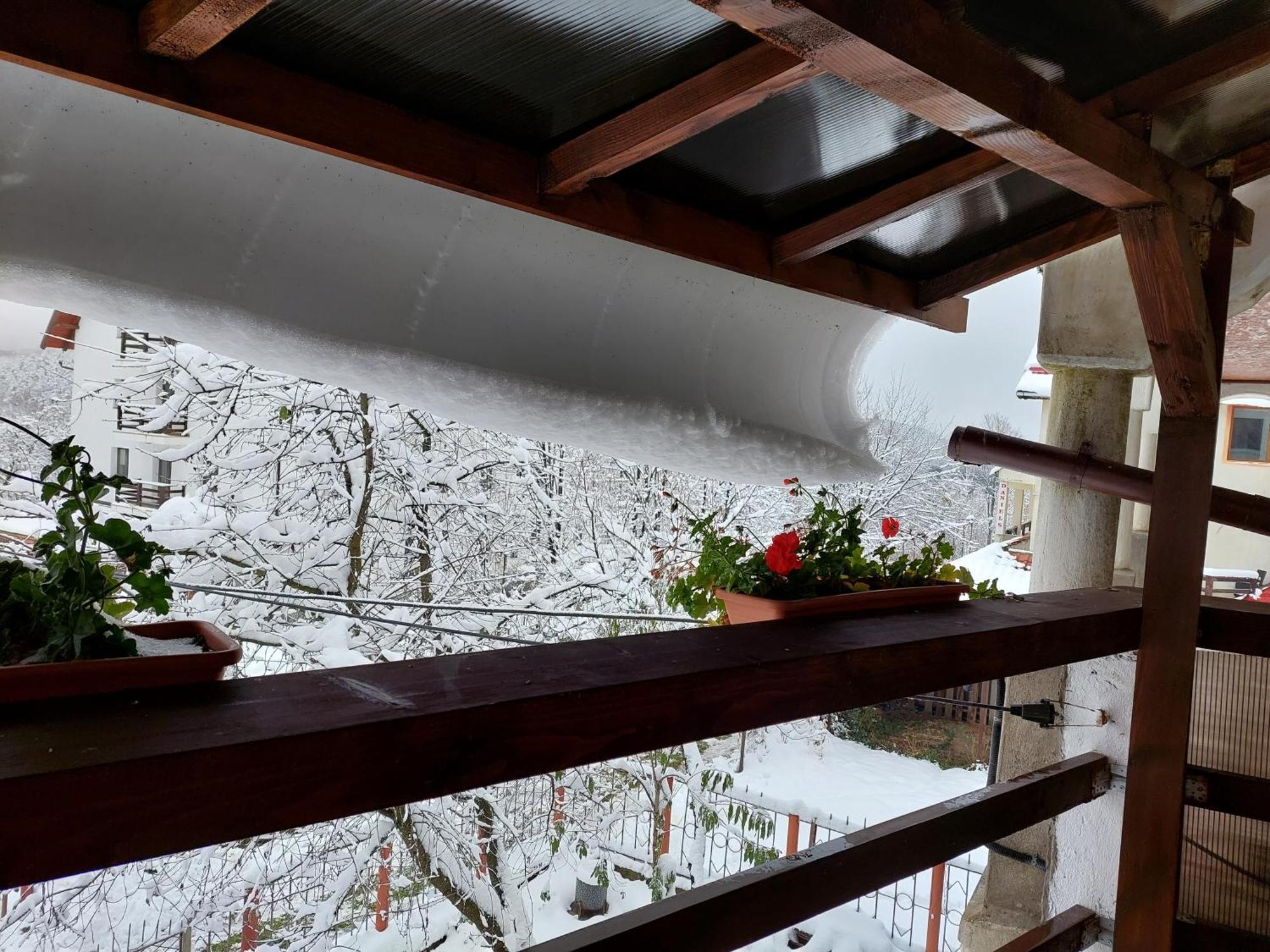 Holiday House Văliug 외부 사진